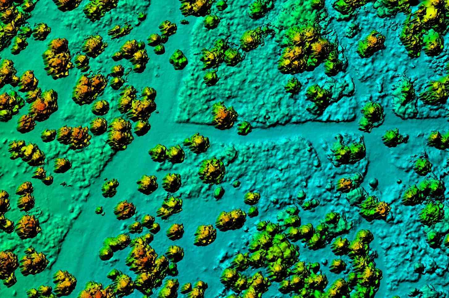 GIS Services