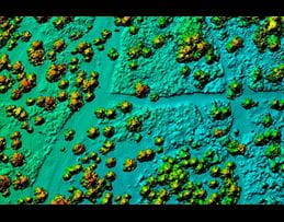 GIS Services