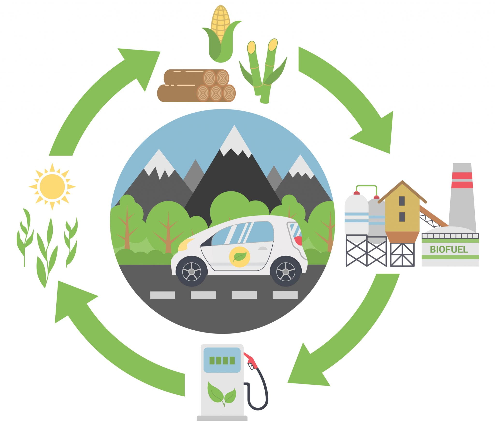 Low Carbon Fuel Standard