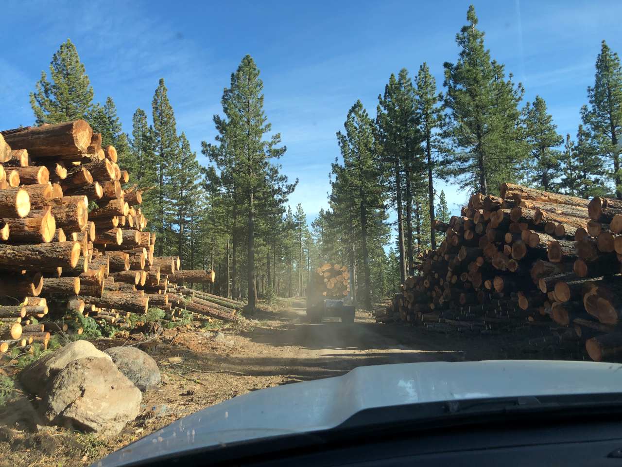 Timberland Management