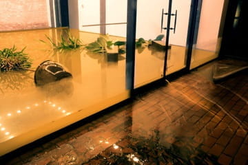 Natural Hazards Analysis Services