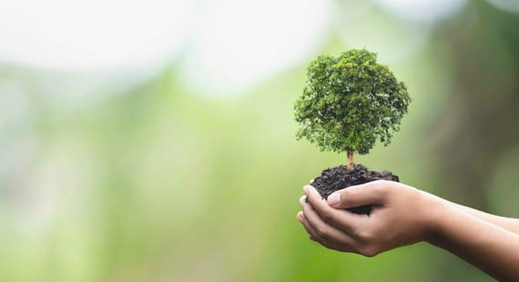 ISO 14001:2015 Internal Auditor Training Program