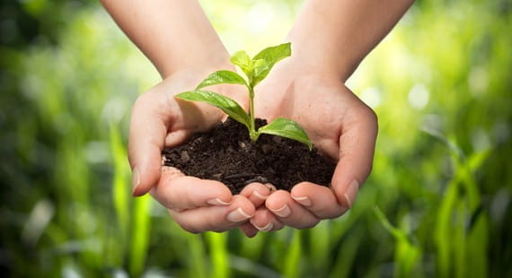 ISO 14001:2015 Environmental Management System Auditor/Lead Auditor Training Course (IRCA Accredited No. 2383)