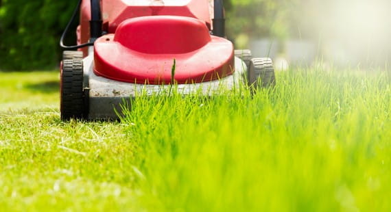 Home and Garden Products Testing and Certification