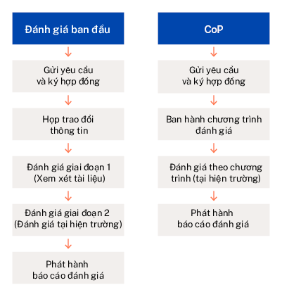 Quy trình của dịch vụ đánh giá