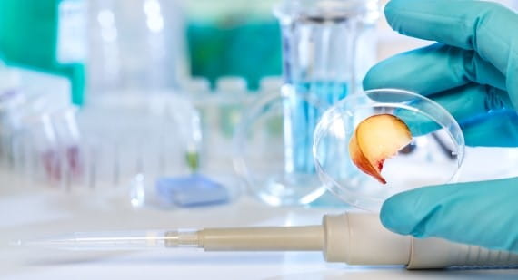 Kỹ thuật lấy mẫu kiểm soát vi sinh trong môi trường sản xuất chế biến thực phẩm