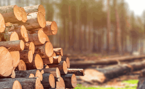 Buổi chia sẻ về chứng nhận FSC CoC, PEFC CoC