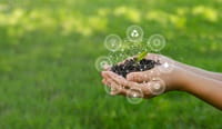 Main tenant une plante symbolisant la durabilité