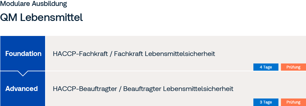 Grafik zur modularen Ausbildung