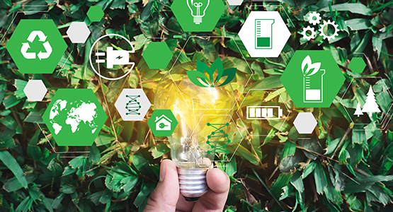 Grafische Elemente mit Gl&uuml;hlampe auf Gras