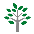 Baum