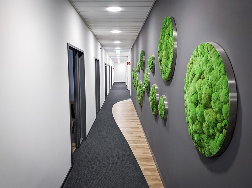 T&Uuml;V S&Uuml;D Akademie Mannheim Flur