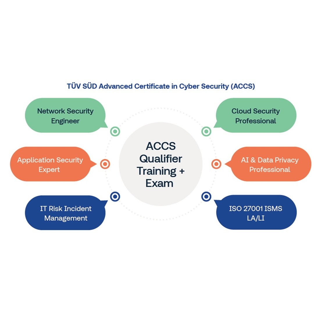 ACCS Career Path